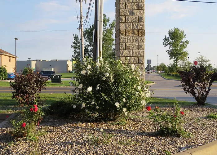 Lexington & Suites-Windsor